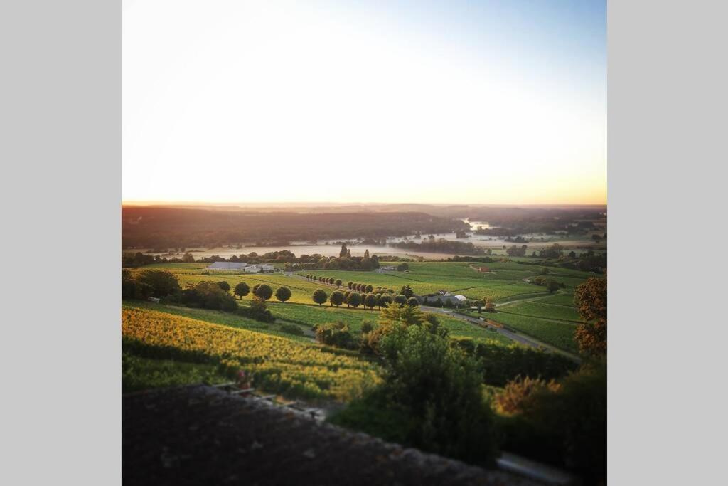 Vue Panoramique Sur Le Vignoble Apartment Sancerre Luaran gambar